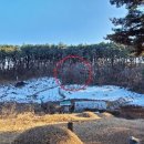 동해시-51 이미지