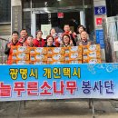 푸른&소나무 이미지