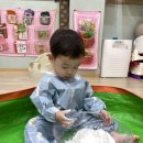 (11/14/금) 오감놀이-전분가루 이미지