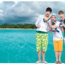 ㈜보물섬투어 이미지