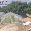 성주군대가면용흥보건진료소 이미지