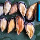 신우수산 이미지