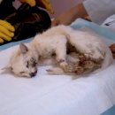 원탑병원 이미지