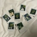 토끼언니케이크 | 언니랑 양평 여행 ☘️