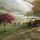 환일행정사 사무소 이미지