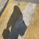 파파야 | 강남역 태국음식점 파파야리프 강남점 내돈내산 솔직 후기