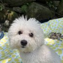 사온누리 이미지