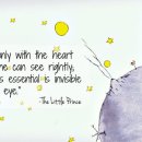 머털도사 이미지