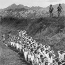 [6·25 전쟁 60년] 지리산의 숨은 적들 (160) 다시 지리산으로 - 51년 10월 이미지