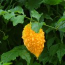 수선정사 이미지