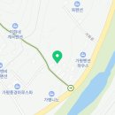 멍멍아 여기어때 이미지