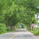 곡성-041 네이버블로그