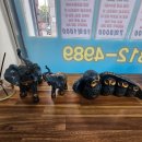 고래공인중개사사무소 이미지