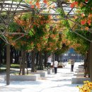 부천-중앙-부천-02 이미지