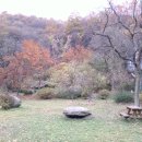 정일당강씨묘 이미지