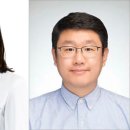 HDL 이미지