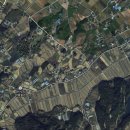 어단1리 이미지