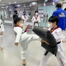 희망찬태권도장 이미지