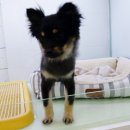 소답동237 이미지