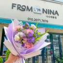 사파동258 이미지