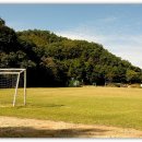 엘리시안강촌콘도 이미지