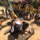 양곡숲유치원 | 우리들자연학교 5월 9일 양곡숲유치원 수업후기