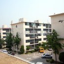 ★★ 신월동 버스종점 넓고 깨끗한 아파트 월세(매매가능) 있습니다. ◎◎ 이미지