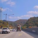 (주)캐니스 이미지