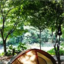 남경오토 이미지