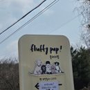 레디에이트(RADIATE) 이미지