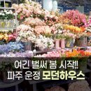 필하우스파주 | 파주운정 스타필드 모던하우스 가성비 알러지 키즈 봄 침구부터 신학기 식판 수저 준비 끝!🌸