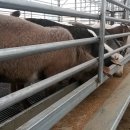 승희네농장 이미지