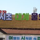 여시초대게물회 이미지