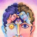 프라나요가 이미지