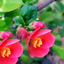 축원목장 이미지