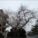 대학교 익산캠퍼스 이미지