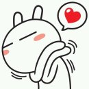 디오레 포메라니안 이미지