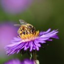 광교미소모아내과의원 이미지