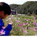 덕고개로 Daum카페