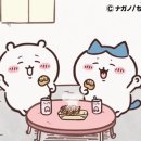 미누 이미지