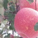 선바위농원 이미지