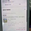 W펜션 | 경기도 양평 펜션 에코이글루 글램핑 불멍 펜션 내돈내산 후기