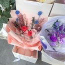 송내농장 | [IBI STUDIO] 🌸 부천 송내역 꽃집｜감성 가득 IBI STUDIO 화분 구매 후기 💚꽃배달 개업화분 추천!