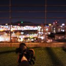 CAFE DE 220VOLT 이미지