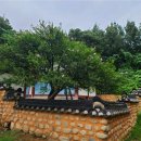 무궁화비료 이미지