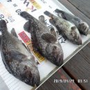 곤리레져