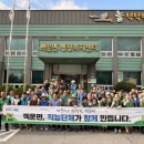 백운면 - 전주시 덕진구 떡전4길 20-1 | 백운면