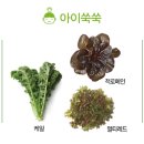 서우 농장 이미지