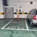 미림프라자앞 이미지