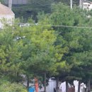 이진철농장 이미지